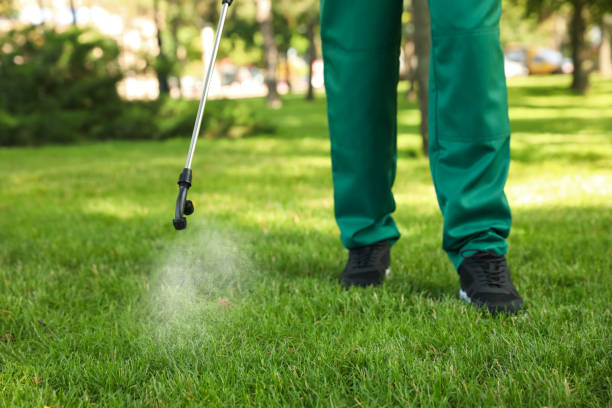 Wildlife Control Services in Rural Retreat, VA