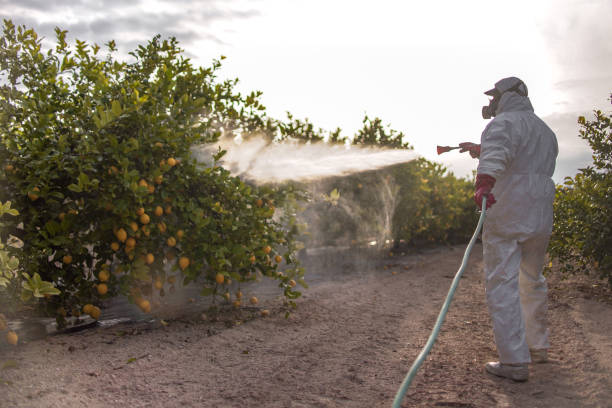 Best Exterminator Services  in Rural Retreat, VA